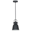Industrialna LAMPA wisząca LAVARE MD-HN82608-1-BK+WH Italux metalowa OPRAWA loftowy zwis grafitowy biały