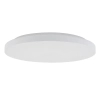 Nasufitowa lampa na korytarz DENIA 11760 LED 15W 4000K biała