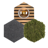Plafon do kuchni Green 15199-70 Just Light bańka zielony drewniany szary OUTLET