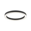 Sufitowa lampa PURE-LINES antracyt 6309-13 1xLED 30W 2700-5000K z pilotem