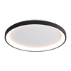 Sufitowa lampa Raden CLN-3151-M-BK LED 50W 3000-6000K okrągła czarna