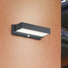 Elewacyjna lampa SELARO DL242226669 outdoor LED 11W 3000K grafitowa