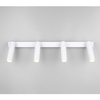 Lampa nasufitowa AMBALA 849210431 LED 22W 2300-4000K metalowa biały