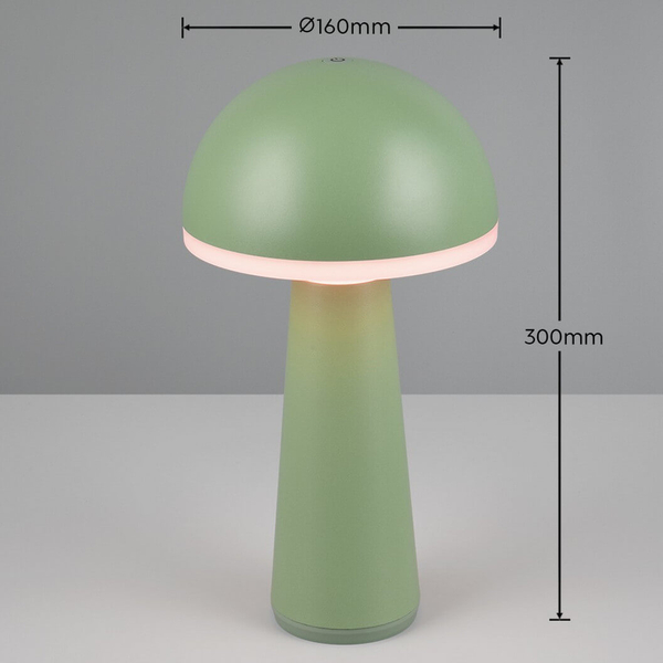 Stołowa lampka grzybek Fungo R57716149 IP54 LED 2W 3000-5000K zielony