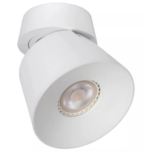 Biała lampa sufitowa Trigono kierunkowy downlight metalowy
