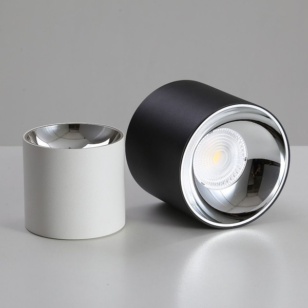 Lampa sufitowa Roller DLW10WW tuba LED 10W 3000K do przedpokoju biała