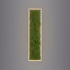 Dekoracyjny plafon GREEN KNUT 15623-66 LED 25W 3000K do jadalni zielony