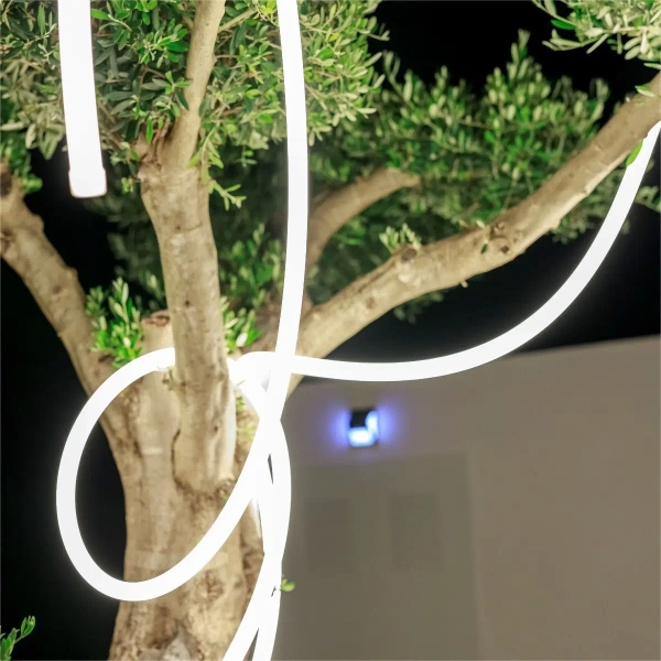 Girlanda zewnętrzna NEO 3117 LED 5W 2700K IP65 biała