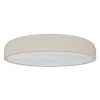 Ledowy minimalistyczny plafon Cedrone OR85969 LED 25W 3000-6500K szary