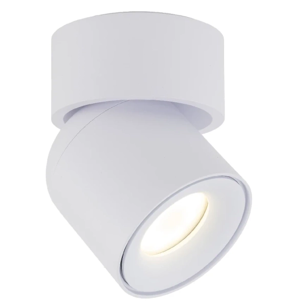 Spot sufitowa lampa punktowa Twist 10576 regulowana metalowa biały