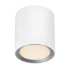 Lampa sufitowa tuba LANDON 2110670101 LED 6,5W 2700K IP44 biały