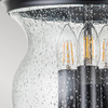 Retro lampa sufitowa Pickering Lane FE-PICKERING-LANE-SF-BLK Feiss czarny przezroczysty