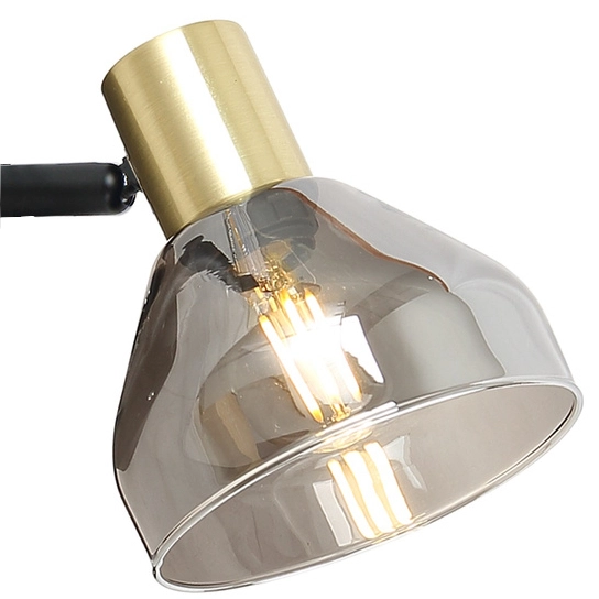 Ścienna lampa loftowa GREGORY 21-76724 szklana regulowany przydymiony