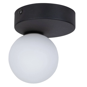Punktowa lampa sufitowa Bianca 5681 TK Lighting kula czarna biała