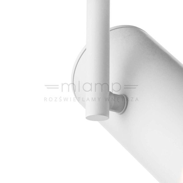 Spot Lampa sufitowa TORI 20015-WH-N regulowana metalowa tuba biała