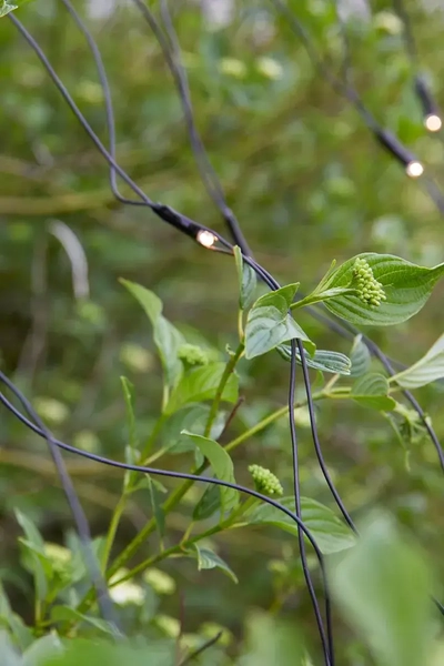 Wisząca dekoracja ogrodowa Garden 24 LED 4,8W świetlna