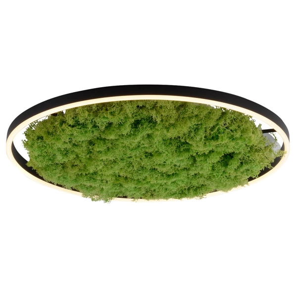 Lampa sufitowa salonowa GREEN RITU 15392-66 Just Light LED 28W 3000K zielony