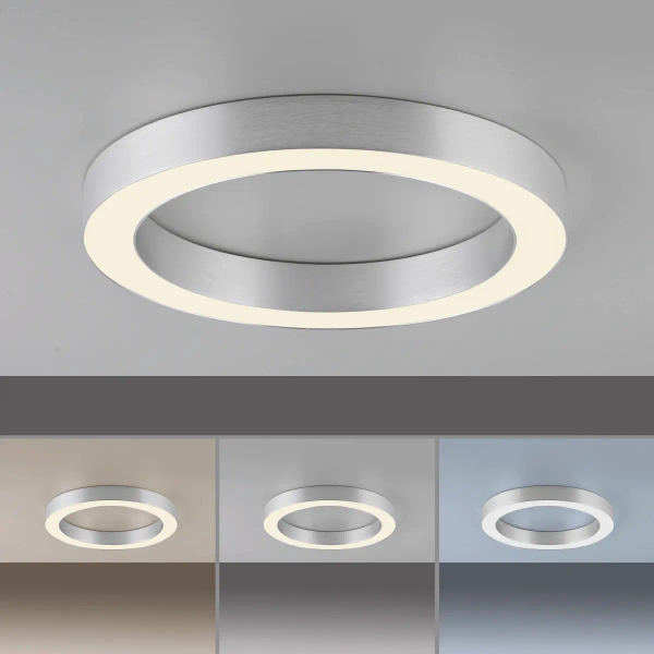 Plafon sterowany pilotem PURE-LINES srebrny 6310-95 1xLED 21W 2200-5500K owalny