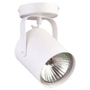 Reflektorek LAMPA sufitowa FLESZ E27 31095 Sigma regulowana OPRAWA metalowy spot biały