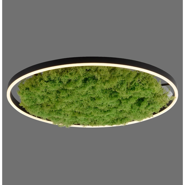 Lampa sufitowa salonowa GREEN RITU 15392-66 LED 28W 3000K zielony