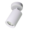 Lampa sufitowa z regulacją Tore TLS006-WH Zumaline tuba metal biały