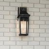 Elewacyjna lampa ścienna Buckley QZ-BUCKLEY-M-MBK szklana IP44 czarny