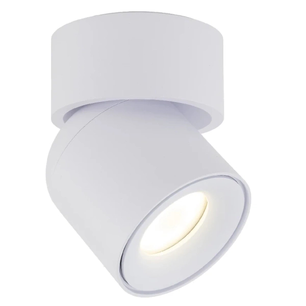Spot sufitowa lampa punktowa Twist 10576 regulowana metalowa biały