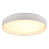 Ledowy plafon gabinetowy Felis R64391031 RL Light 24W 2700-6500K biały