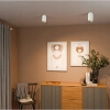 Sufitowa lampa spot CGSPOTLEDWHITEGOLD15 metalowa tuba biała złota