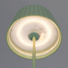Stojąca lampa ledowa Suarez R47706149 LED 2W 3000K IP44 zielona