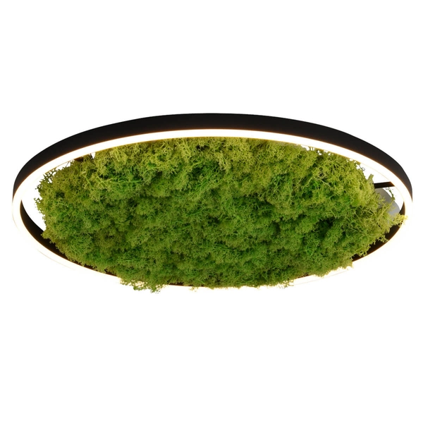 Lampa sufitowa salonowa GREEN RITU 15392-66 LED 28W 3000K zielony