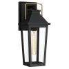 Elewacyjna lampa ścienna Buckley QZ-BUCKLEY-M-MBK szklana IP44 czarny