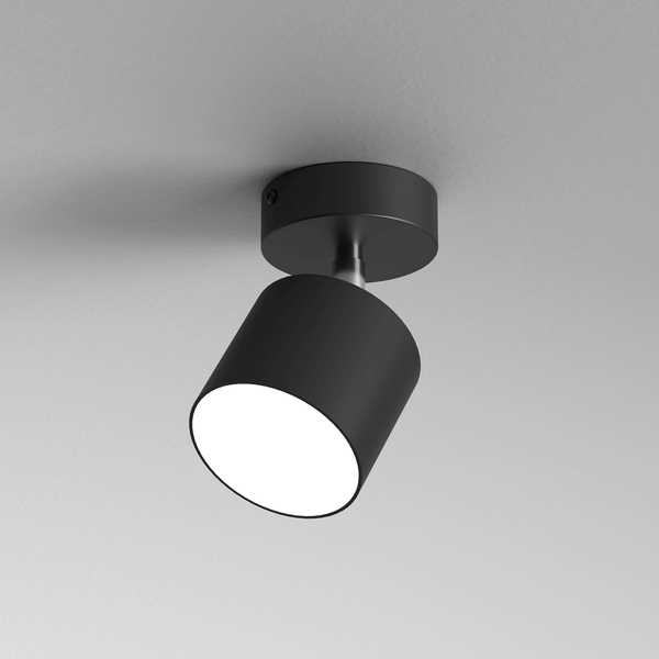 Okrągła lampa sufitowa Dixie kierunkowy spot do holu czarny