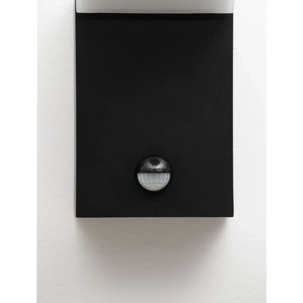 Ścienna lampa zewnętrzna SIRELIA LE75156 LED 12W 3000K IP65 antracyt