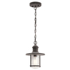 Zewnętrzna LAMPA wisząca Riverwood Riverwood KL-RIVERWOOD8-M Elstead KICHLER klasyczna OPRAWA ogrodowy ZWIS na łańcuchu IP44 cynk przezroczysty