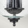 Retro lampa sufitowa Pickering Lane FE-PICKERING-LANE-SF-BLK Feiss czarny przezroczysty