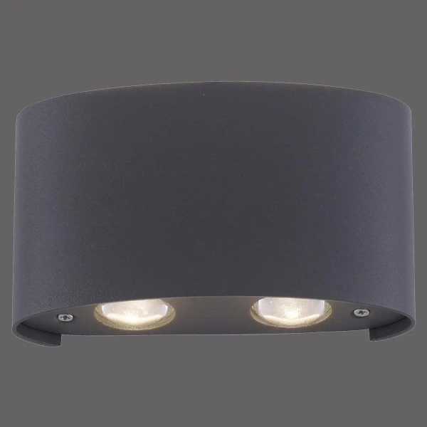 Elewacyjna lampa ogrodowa Carlo LED 3,2W 3000K outdoor grafitowa