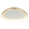 Ledowa sufitowa lampa 23091 LED 39W 3000K do salonu owalna złoty