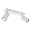 2-punktowa lampa sufitowa Tenor 04070 z regulacją biała do holu