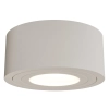 Metalowa lampa sufitowa Rullo Toupe Mini IP44 OR86294 LED 6W 3000K tuba szara