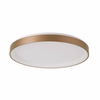 Przysufitowa lampa Vico PLF-53675-078RC-GD-3KS4K-TRDIMM Italux LED 60W 3000-4000K złota