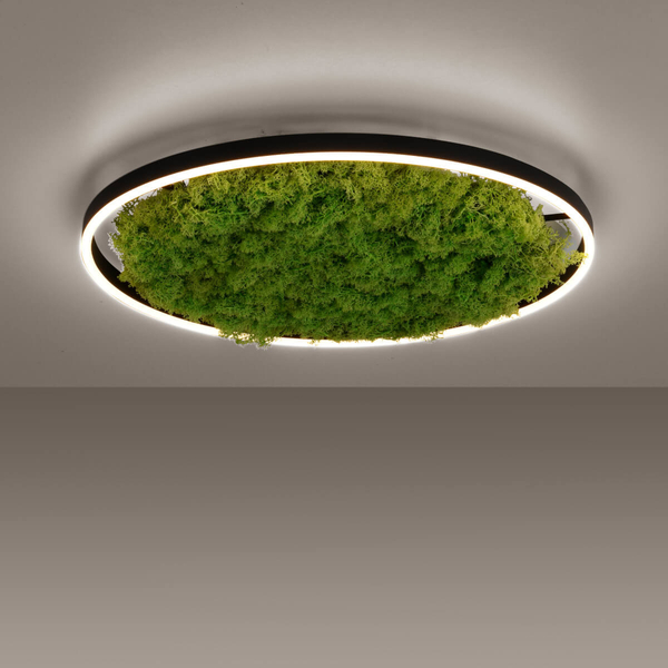 Lampa sufitowa salonowa GREEN RITU 15392-66 LED 28W 3000K zielony