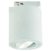 LAMPA sufitowa Rullo Bianco Track Orlicki Design metalowa OPRAWA do systemu szynowego 1-fazowego biała