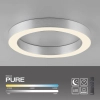 Plafon sterowany pilotem PURE-LINES srebrny 6310-95 1xLED 21W 2200-5500K owalny