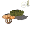 Plafon do kuchni Green 15199-70 Just Light bańka zielony drewniany szary OUTLET