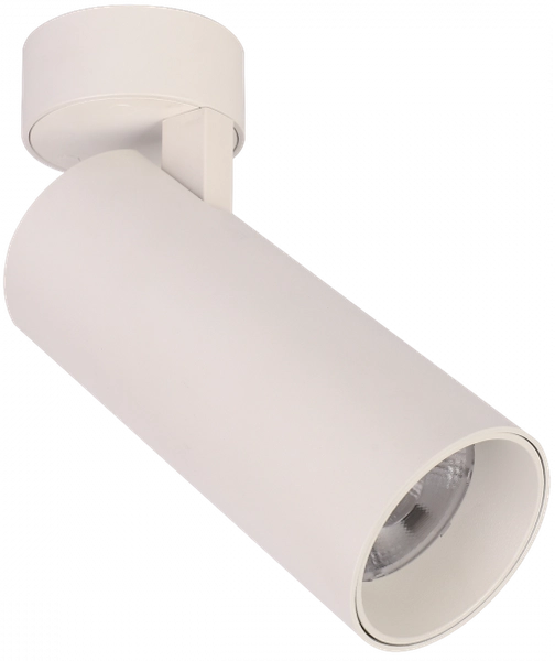 Punktowy reflektor Blaupunkt DRNW-12NW LED 12W 4000K biały