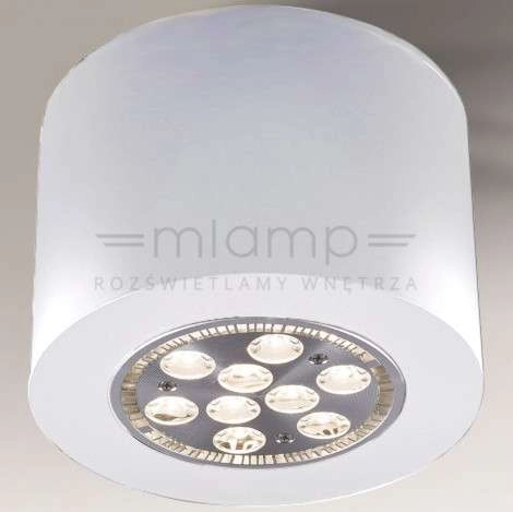LAMPA sufitowa TAMBA 7058 Shilo okrągła OPRAWA natynkowa biała