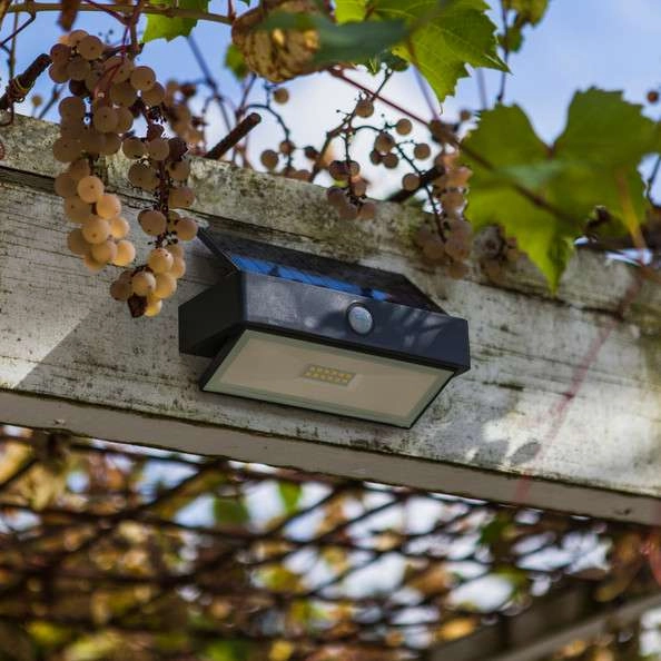 Zewnętrzna LAMPA solarna ARROW 6910601335 Lutec ogrodowa OPRAWA elewacyjna LED 2W 5000K outdoor IP44 szara