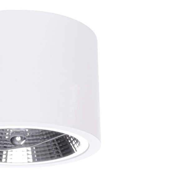 Spot lampa sufitowa CAMINO LP-1101/1SM WH Light Prestige plafoniera oprawa downlight tuba biała