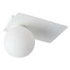 Minimalistyczna lampa sufitowa ARGON 33272 Sigma prostokątna biały
